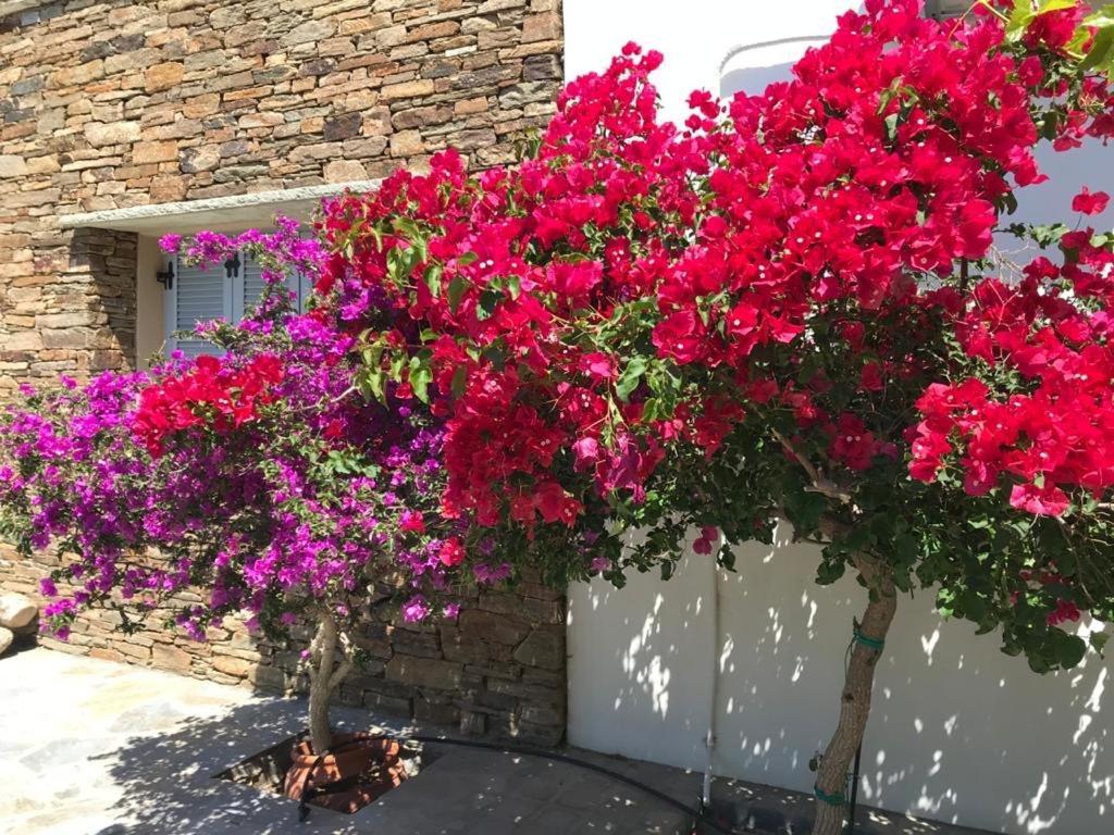Vila Oikia Petra Agios Ioannis  Exteriér fotografie